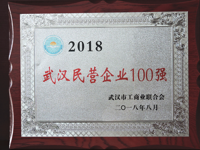 2018年武漢民營企業100強